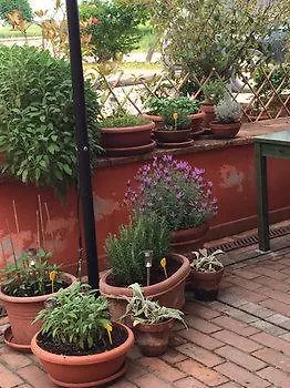Locanda Il Fagiano Sette Polesini Italië